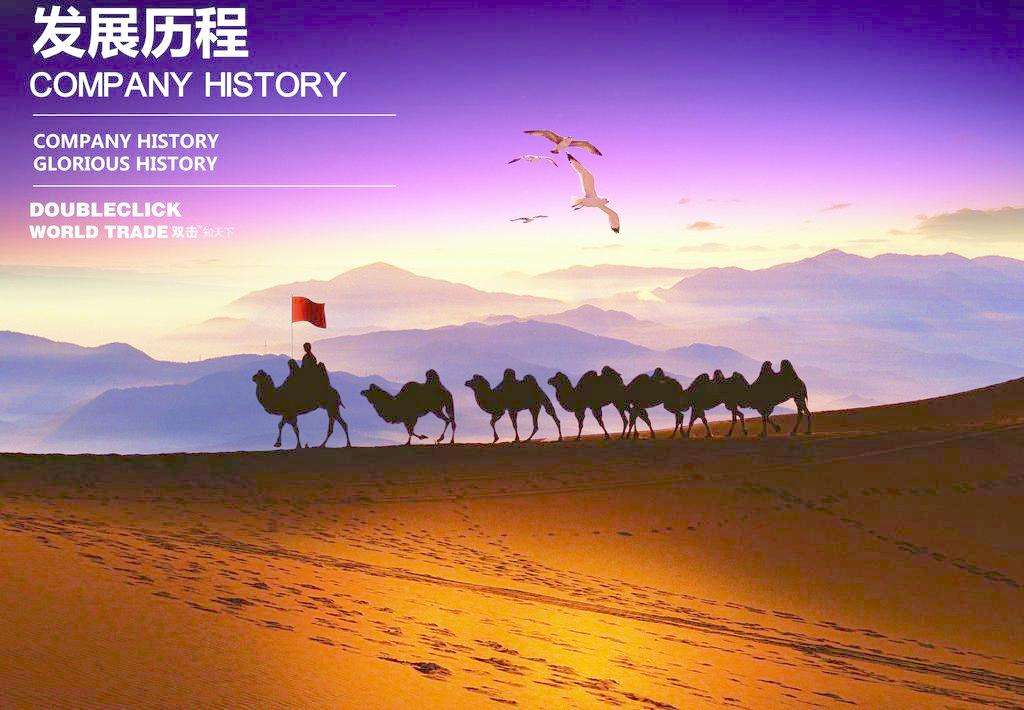 发展历程(图1) 发展历程(图1)