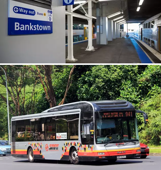 悉尼人心中的伊甸园(图11) 悉尼人心中的伊甸园(图11)